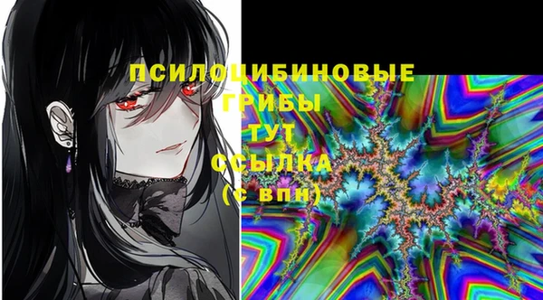 ГАЛЛЮЦИНОГЕННЫЕ ГРИБЫ Заволжск