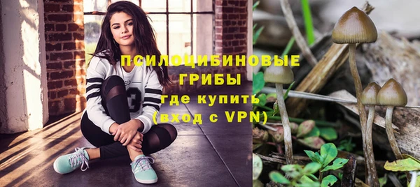 трава Алзамай