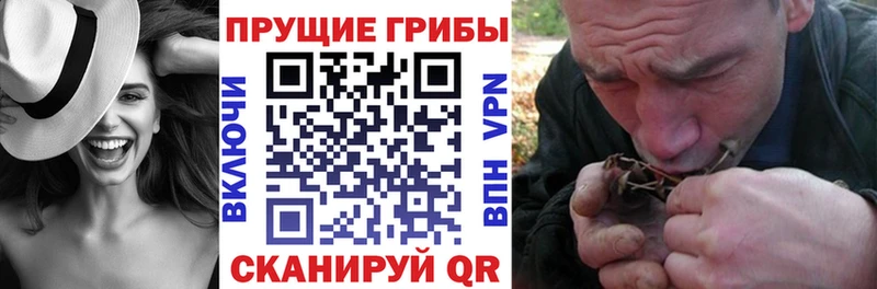 Галлюциногенные грибы Magic Shrooms  Томск 